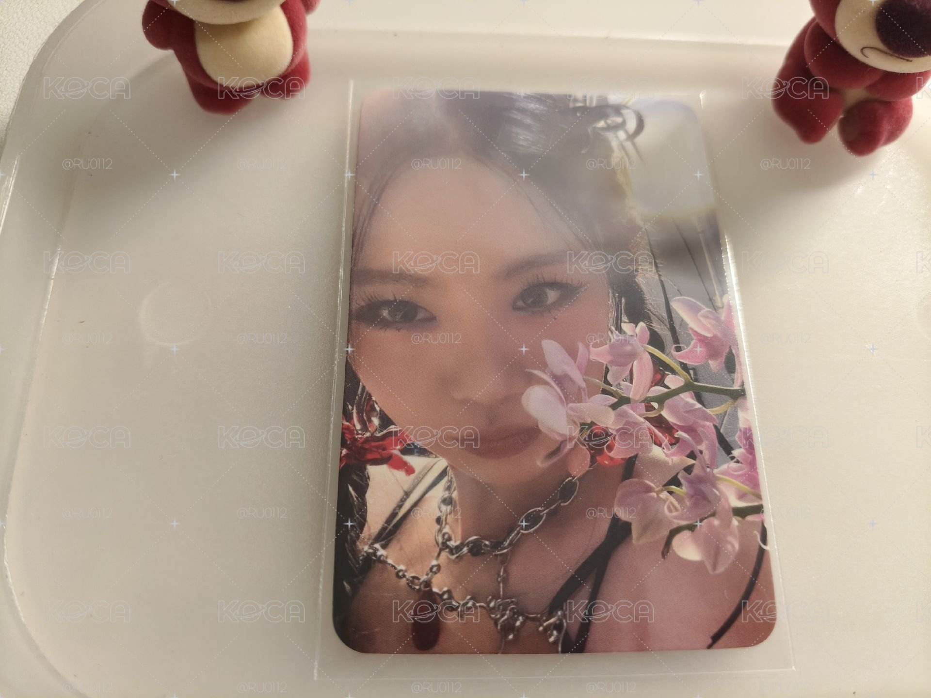 穗珍韓背花朵簽售珍