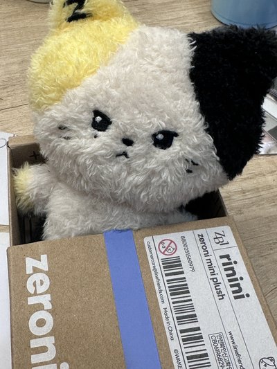 rinini盒娃 綁8張卡