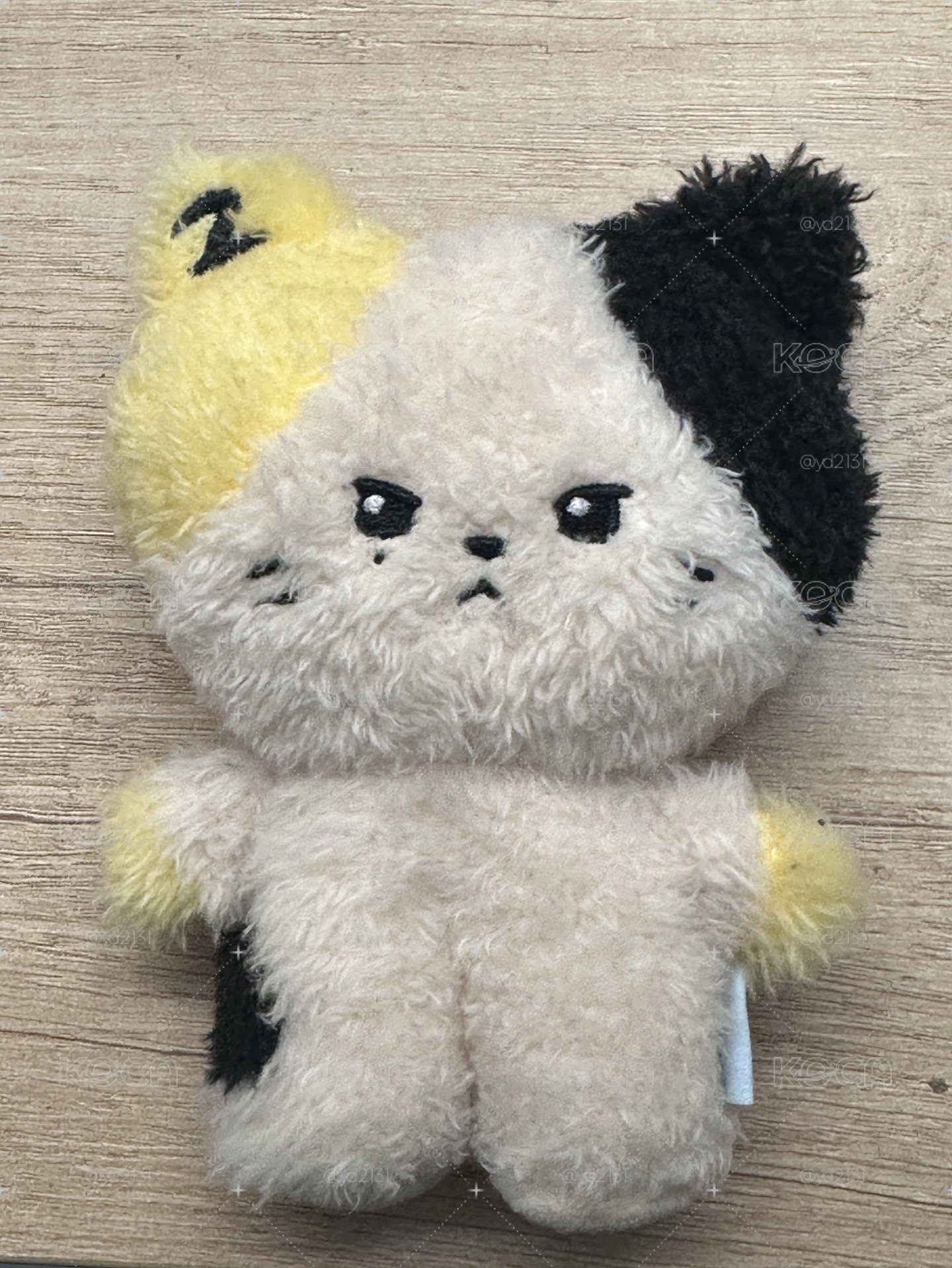 rinini盒娃 綁8張卡