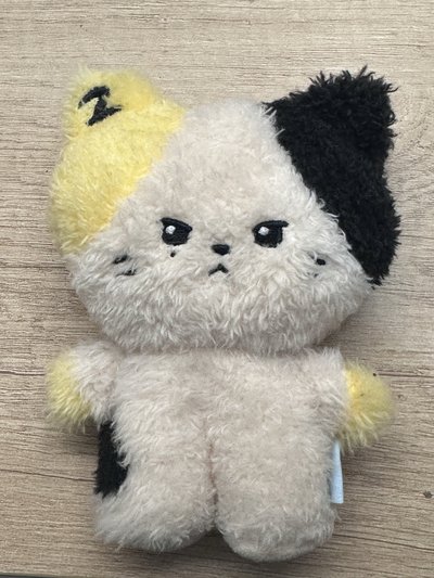 rinini盒娃 綁8張卡