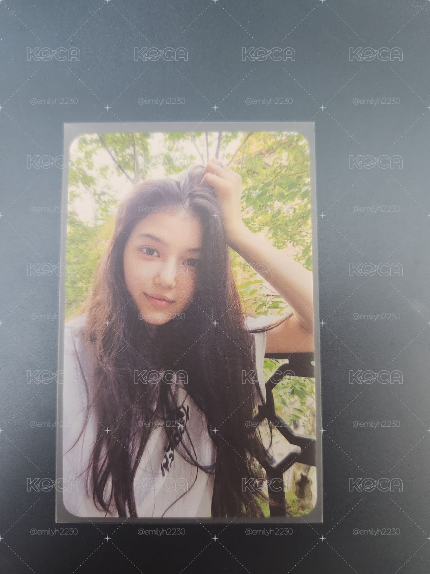 Danielle 專輯卡WVS Bver.