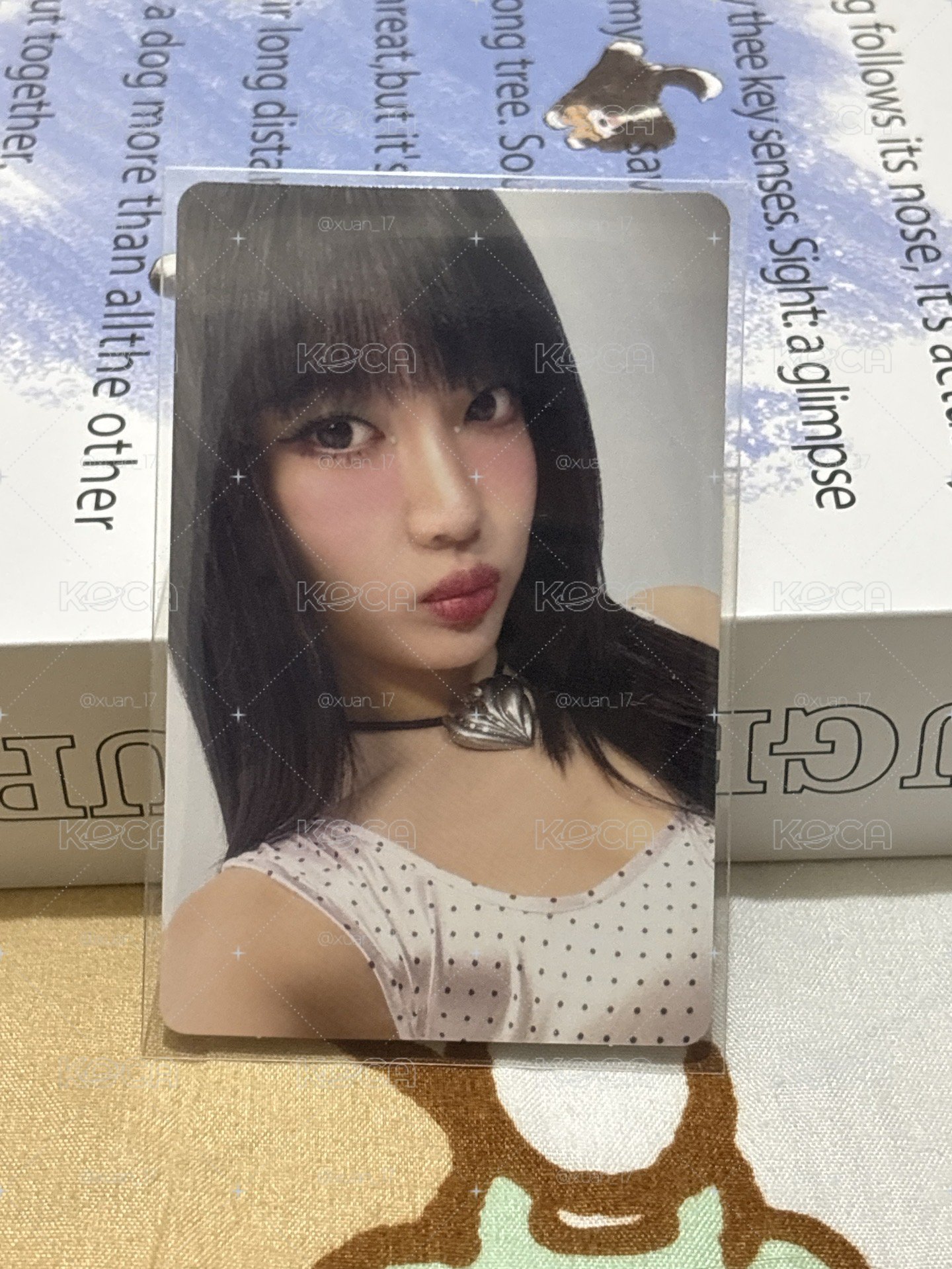 KISS N TELL 華納 特典卡 日專 華納 特典寧