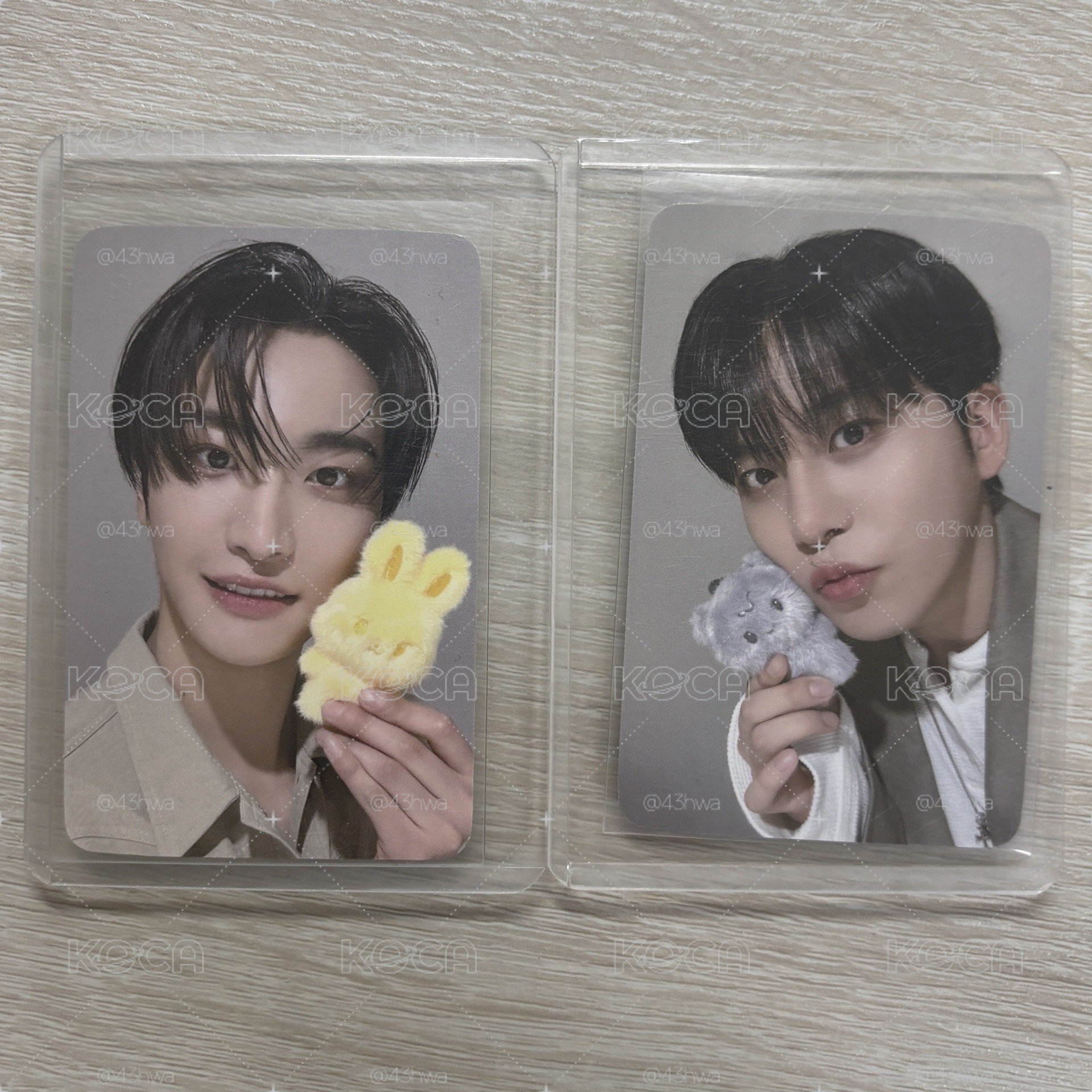 ATEEZ 色違星鍾娃小卡