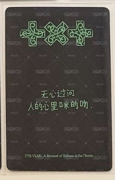 TXT顯中背 一卡一專 卡背是台灣場中文歌歌詞 