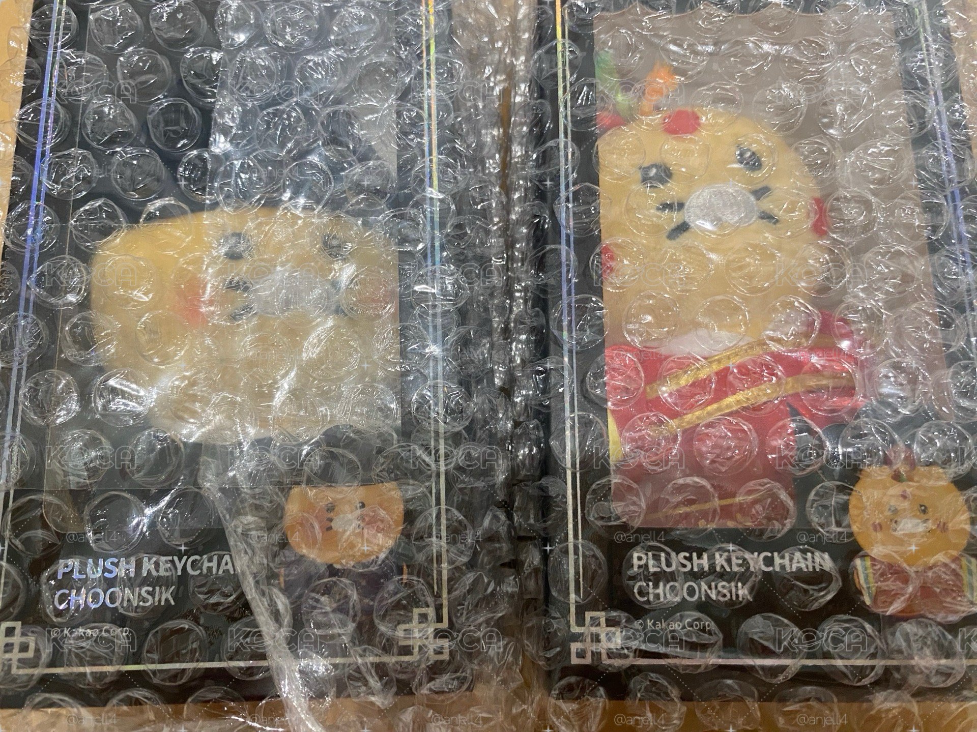 21世紀大君夫人× 春植娃娃一對