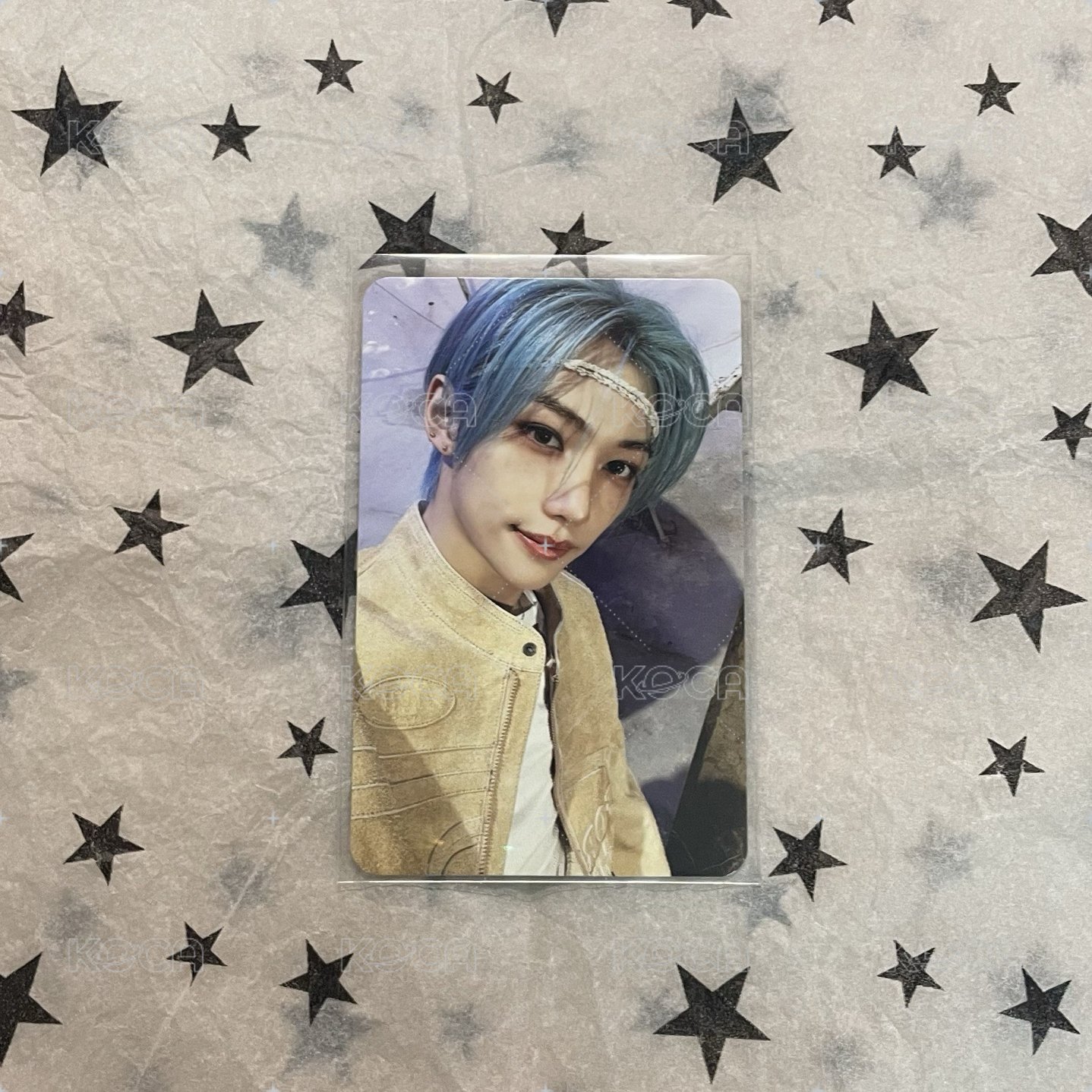 D6菲🐥