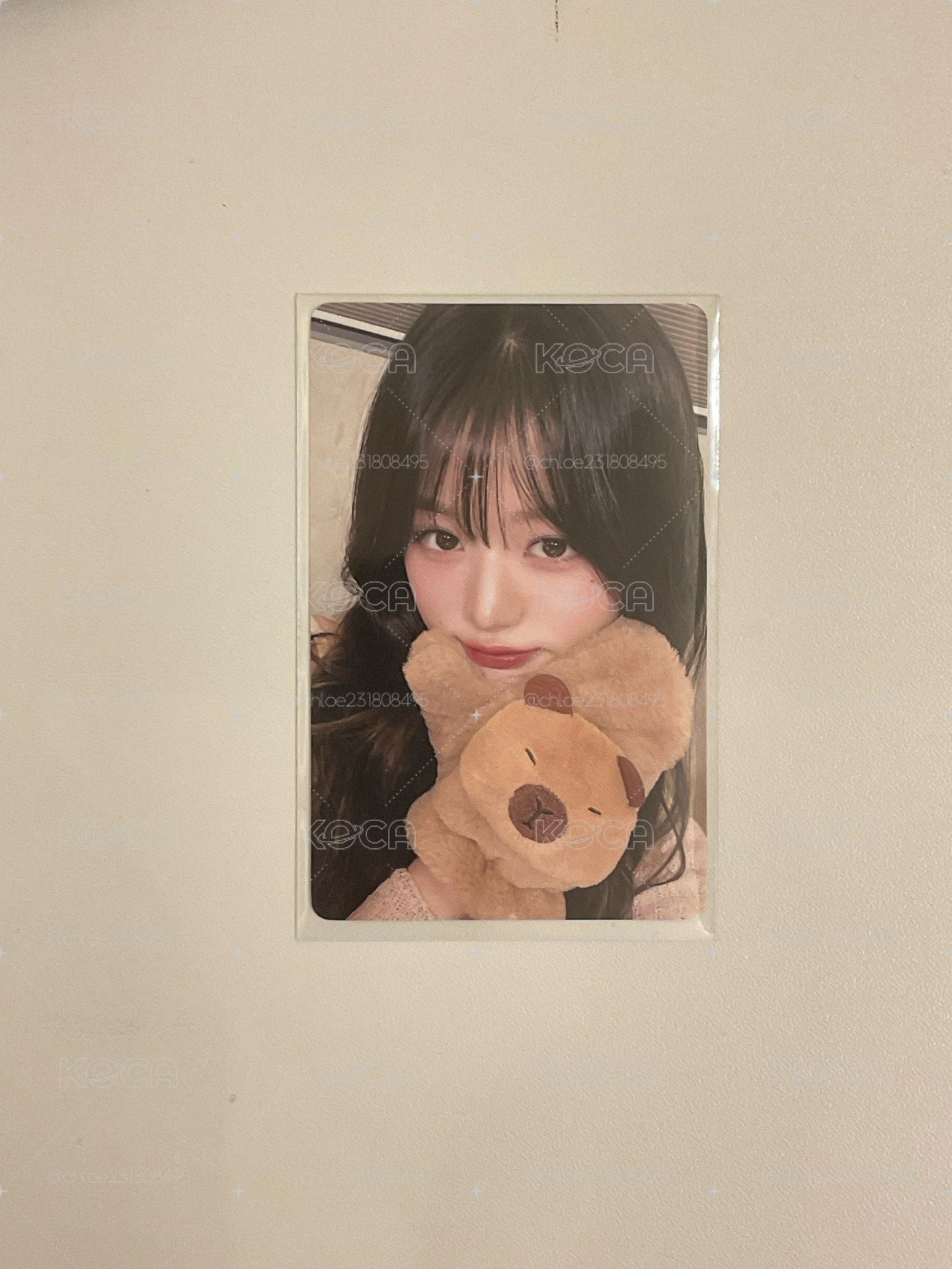 卡皮巴拉員 張員瑛