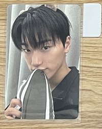 傘鼠