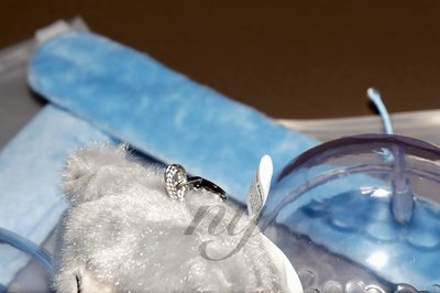 手燈環(其中一個吊繩斷裂)有原袋