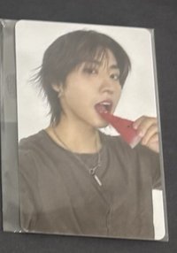 🍉城