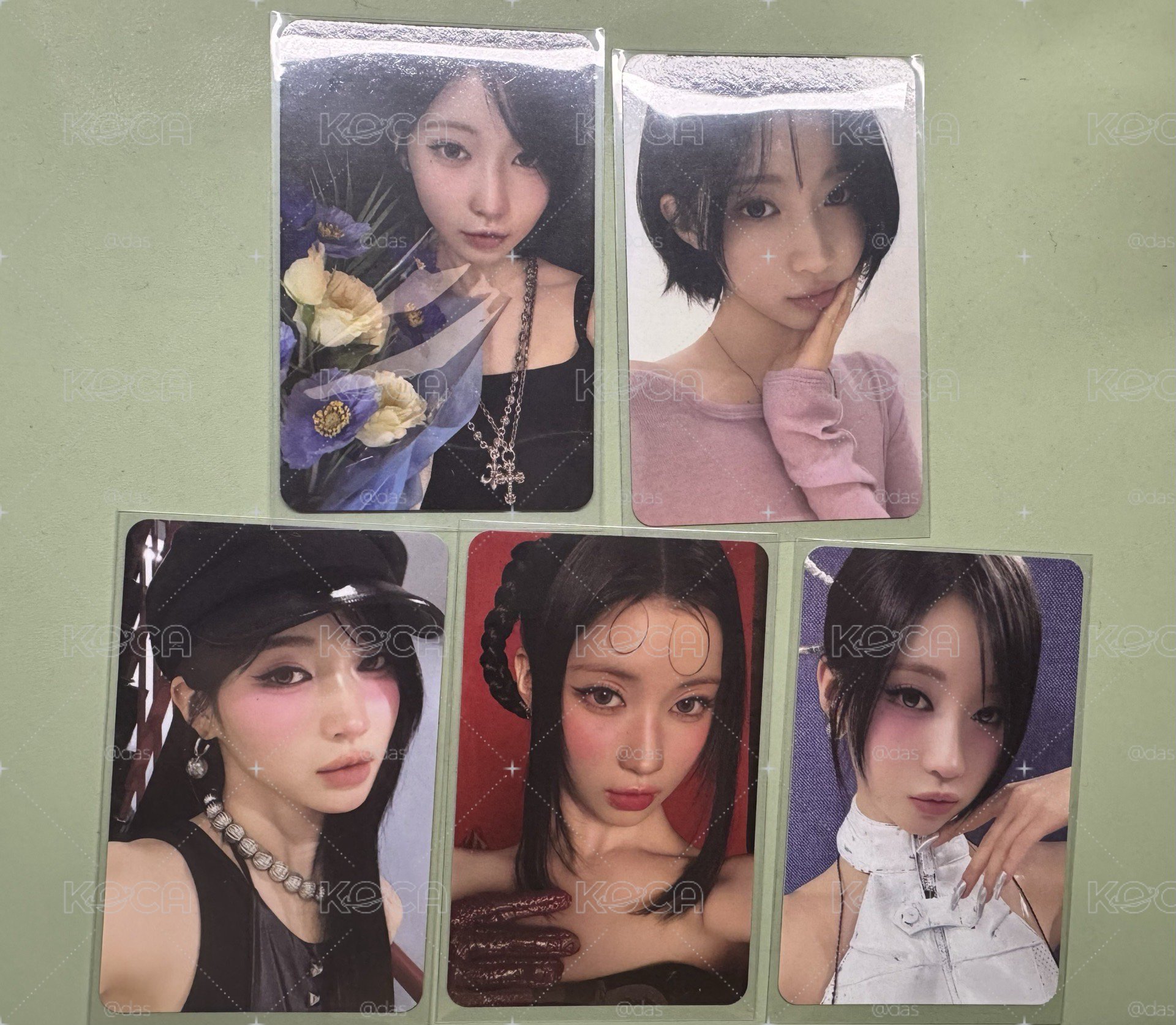 兩週年小卡🐰