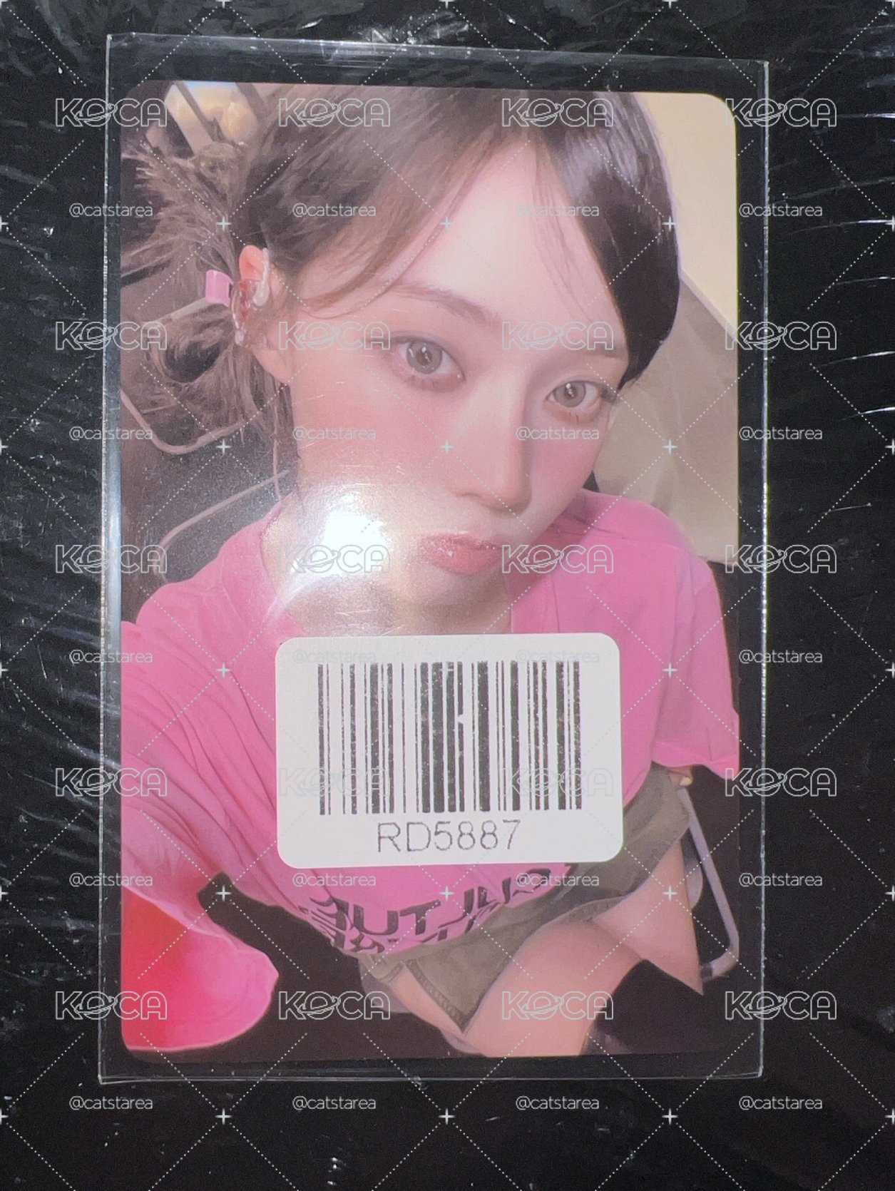 粉衣冬
