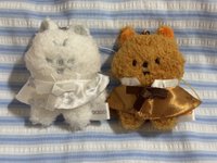 城（原味+白色）