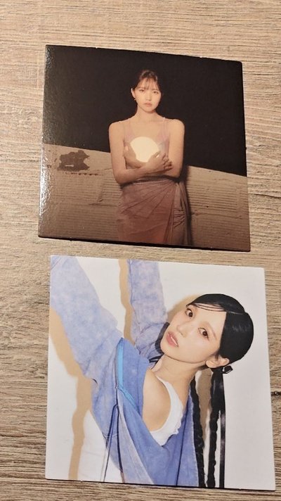 南🐧