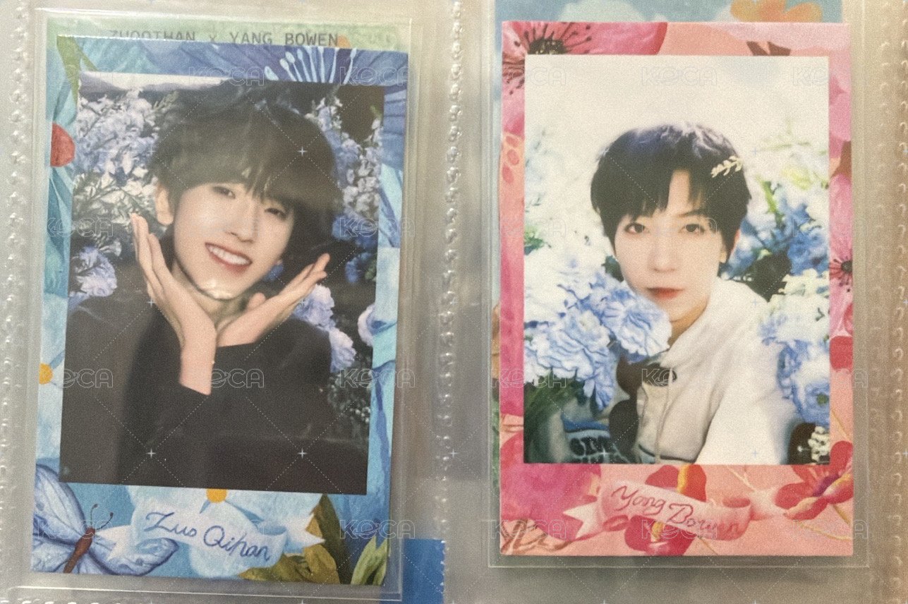 奇➕文花拍兩張一起