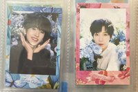 奇➕文花拍兩張一起