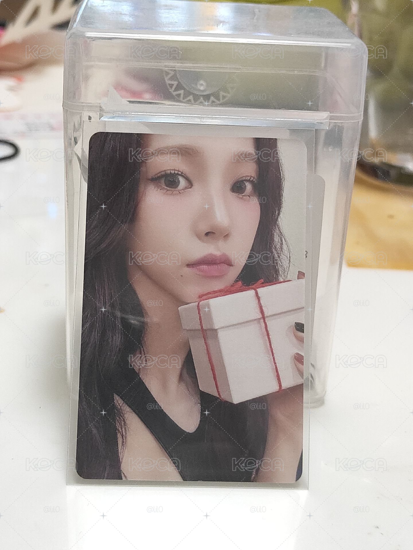 24年聖誕柚