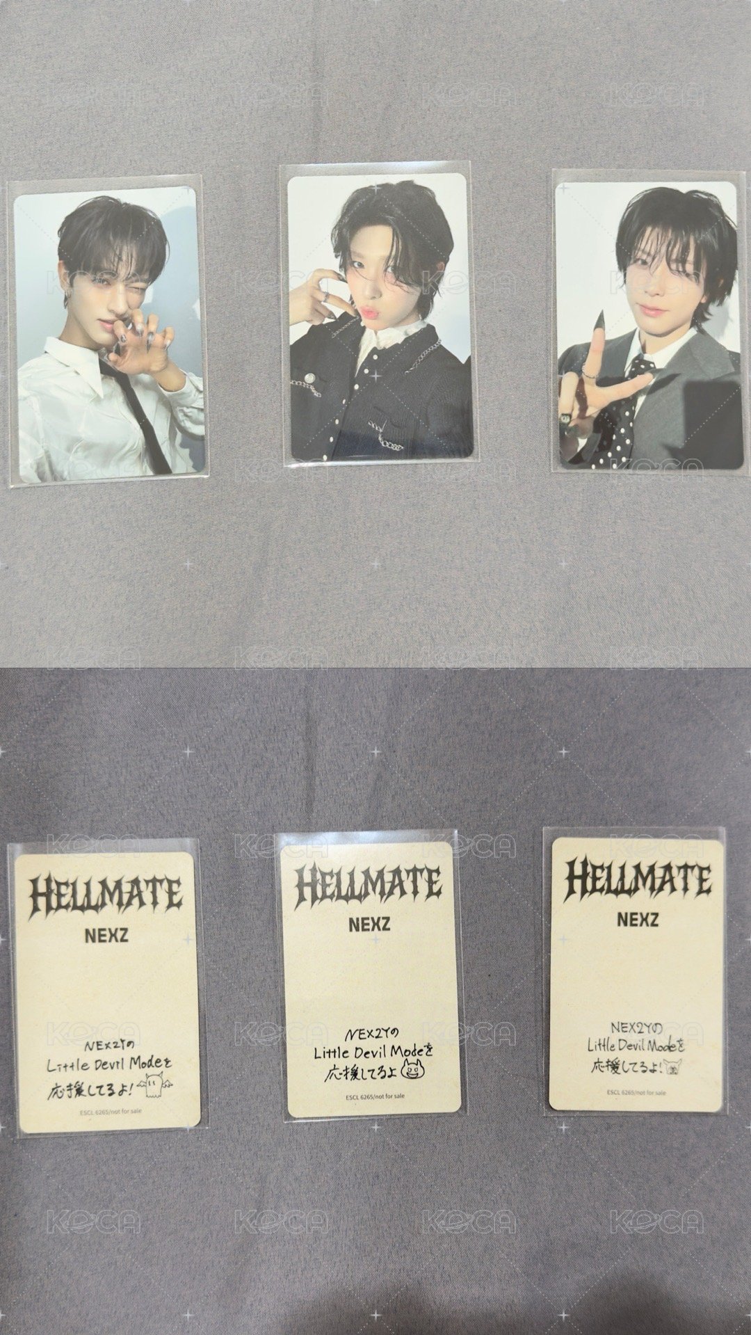 圖四 通常盤 Seita 小卡