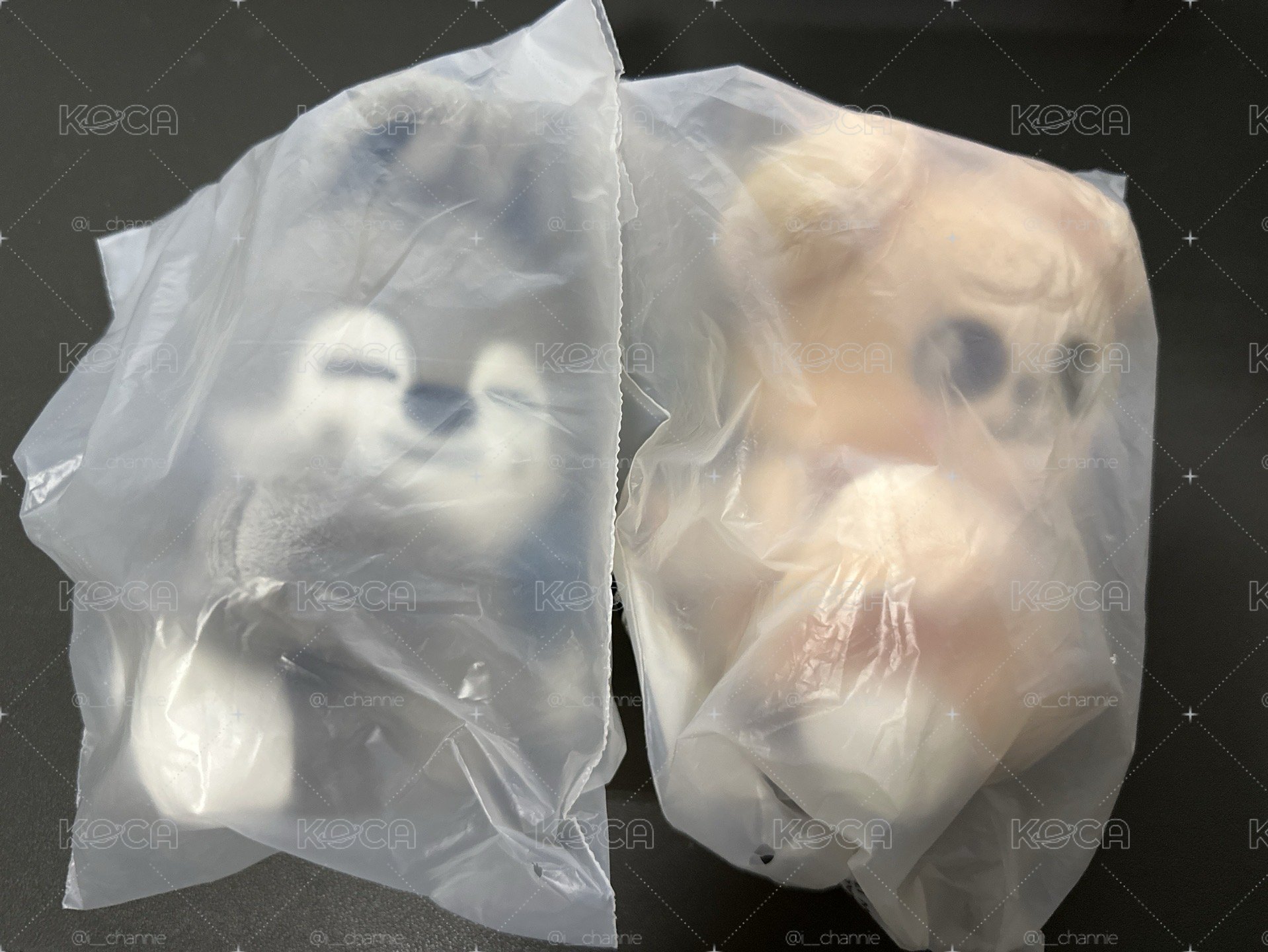 SKZOO 全球快閃 背帶娃娃