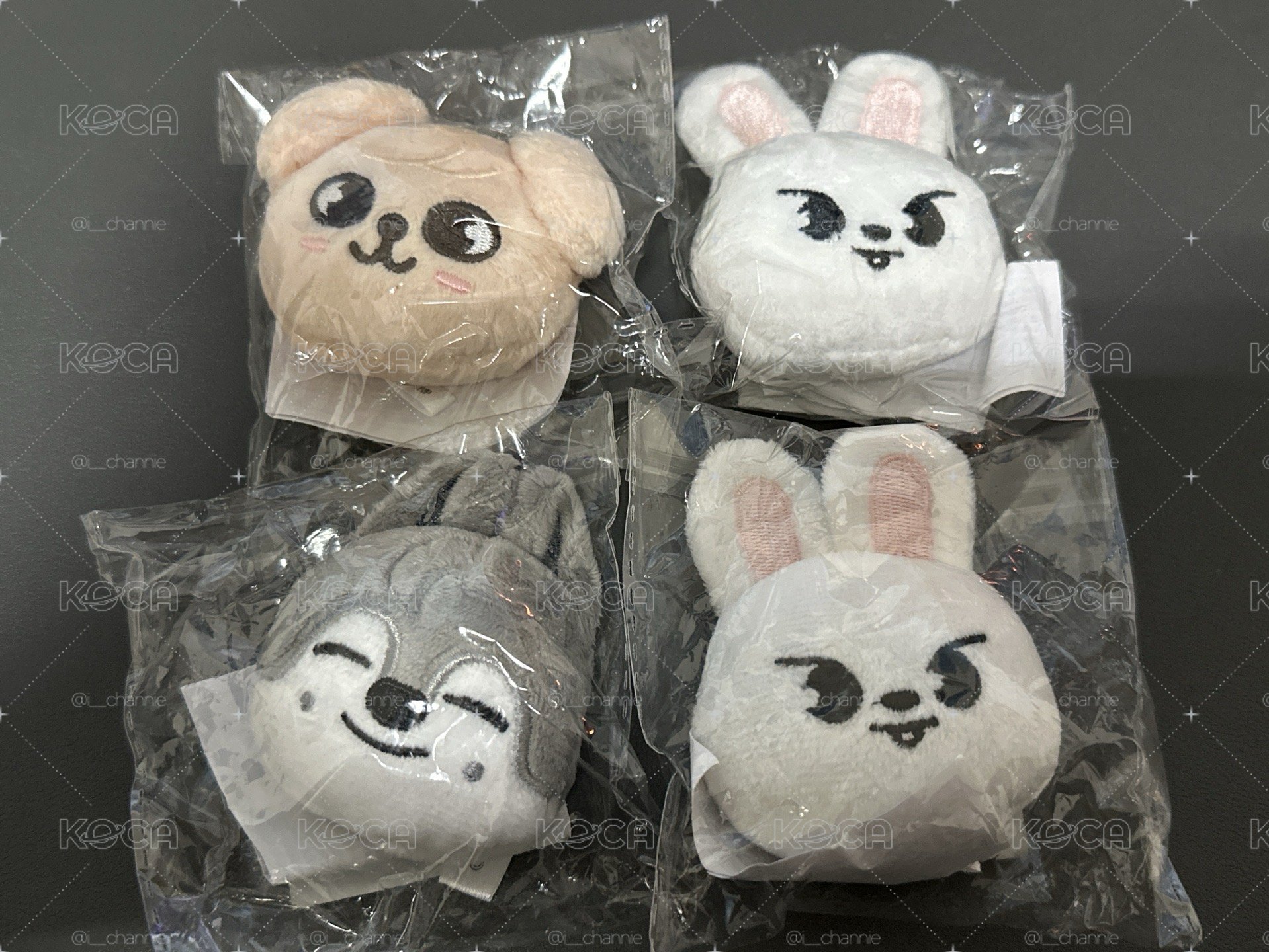 日周 磁鐵大頭