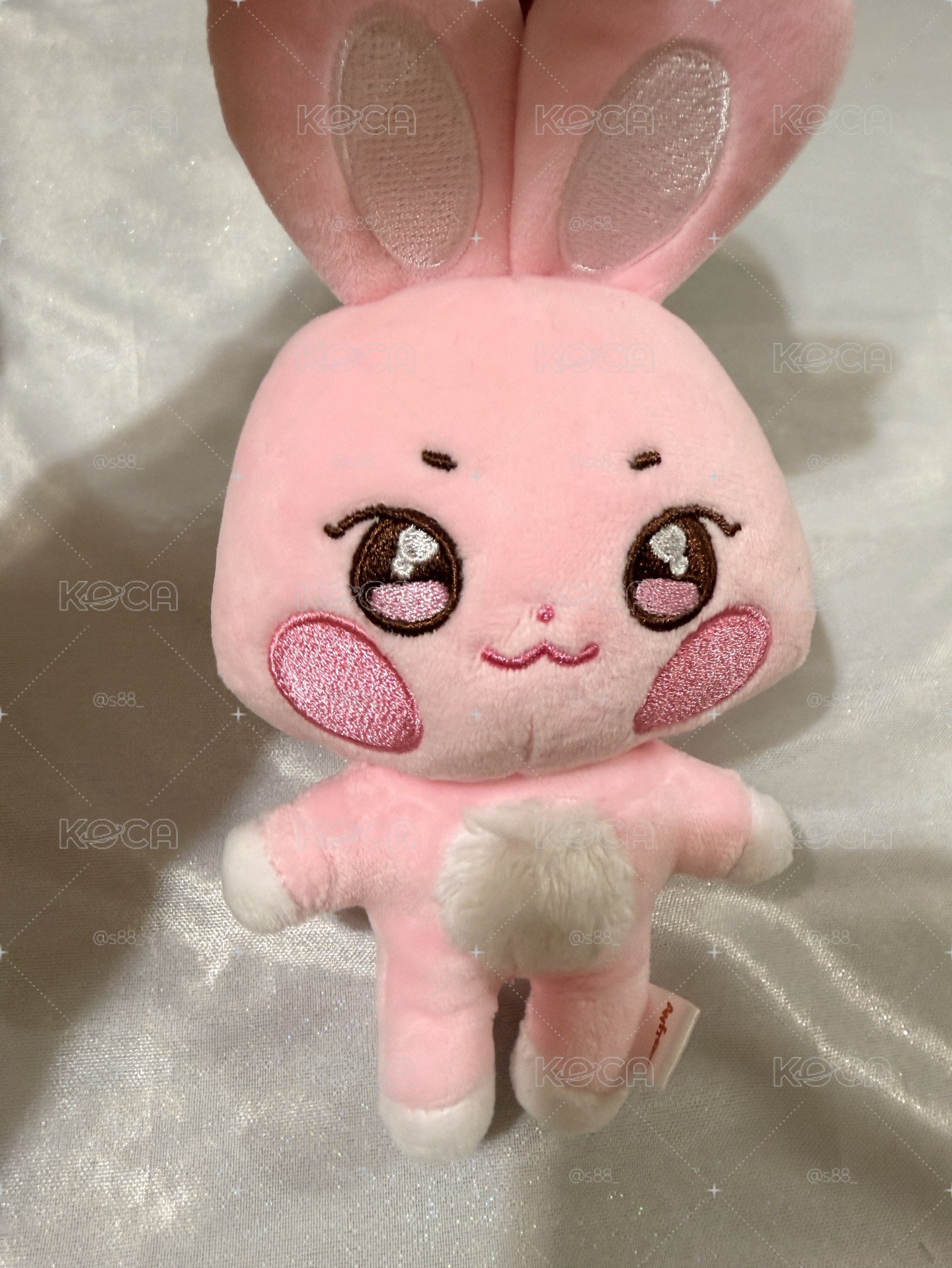 吊飾娃 原皮星🌟