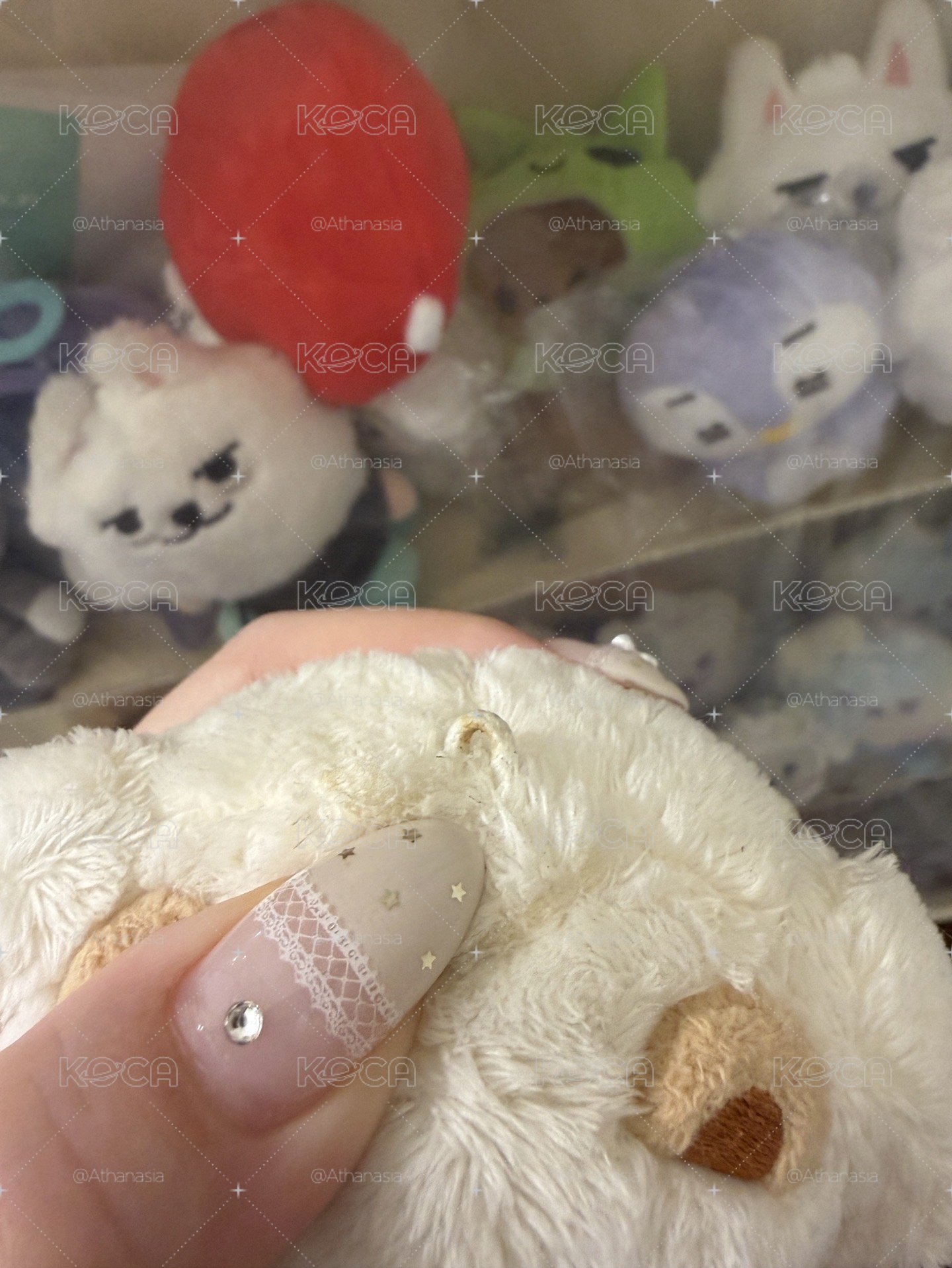 原皮栗嘻