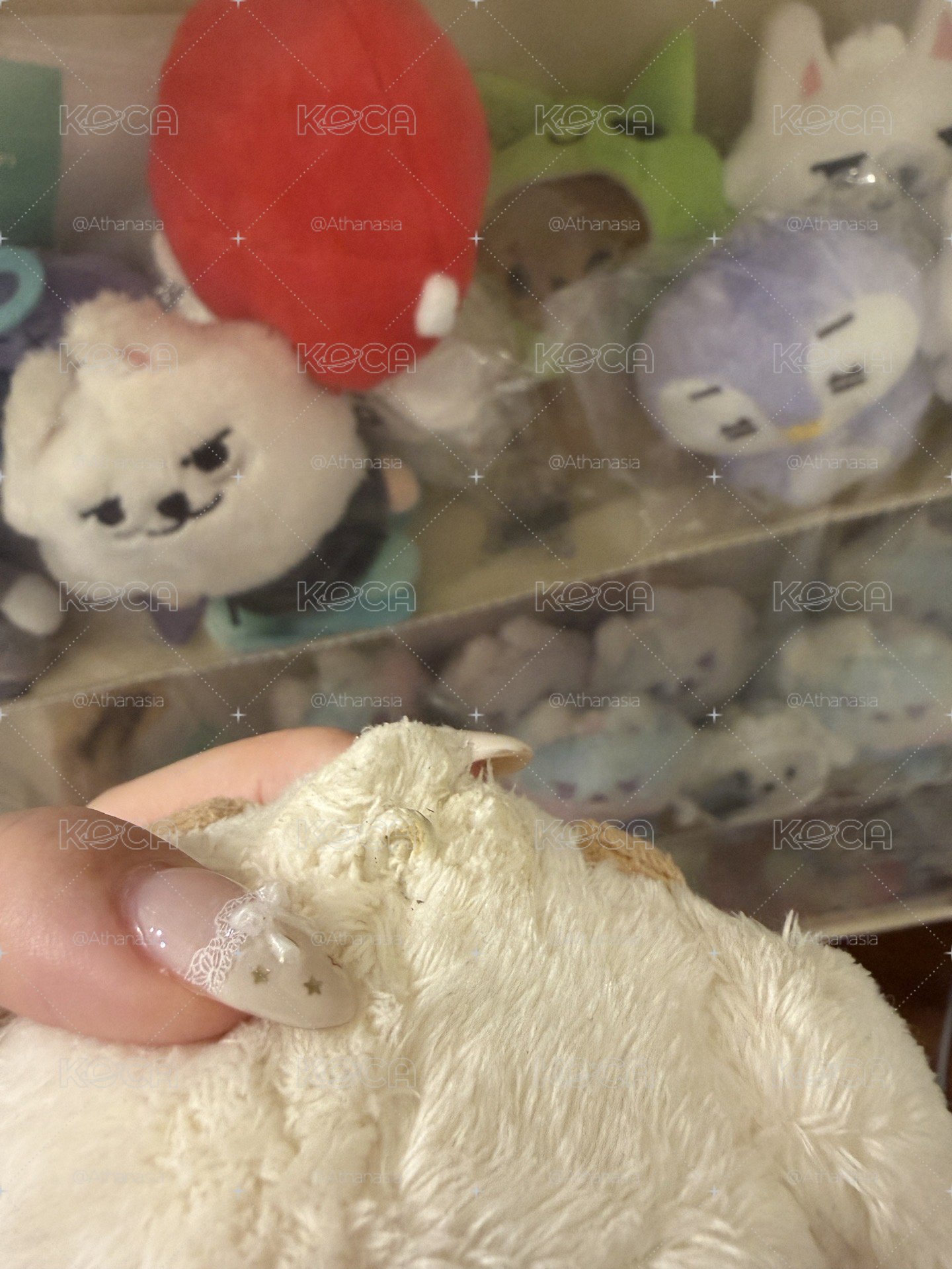 原皮栗嘻