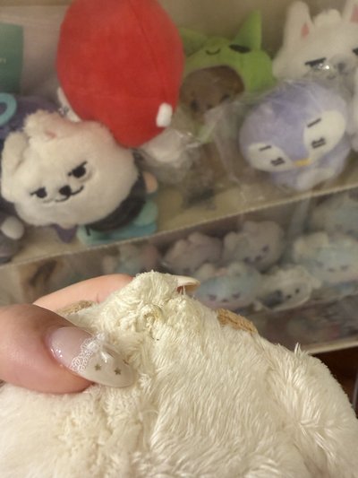 原皮栗嘻