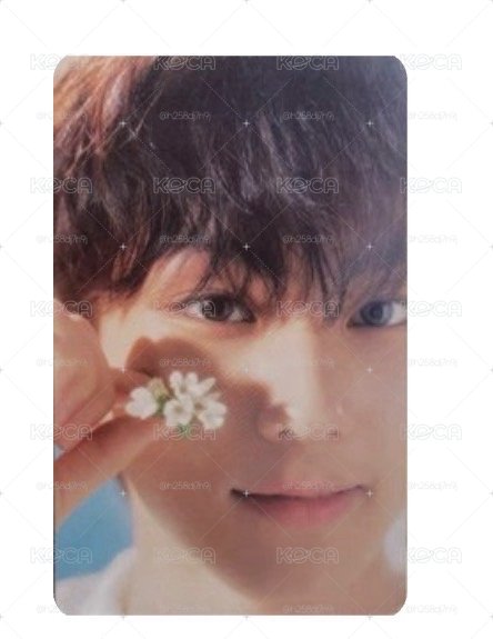 迷五花花元