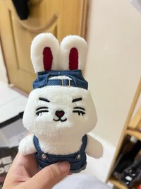 老蔡