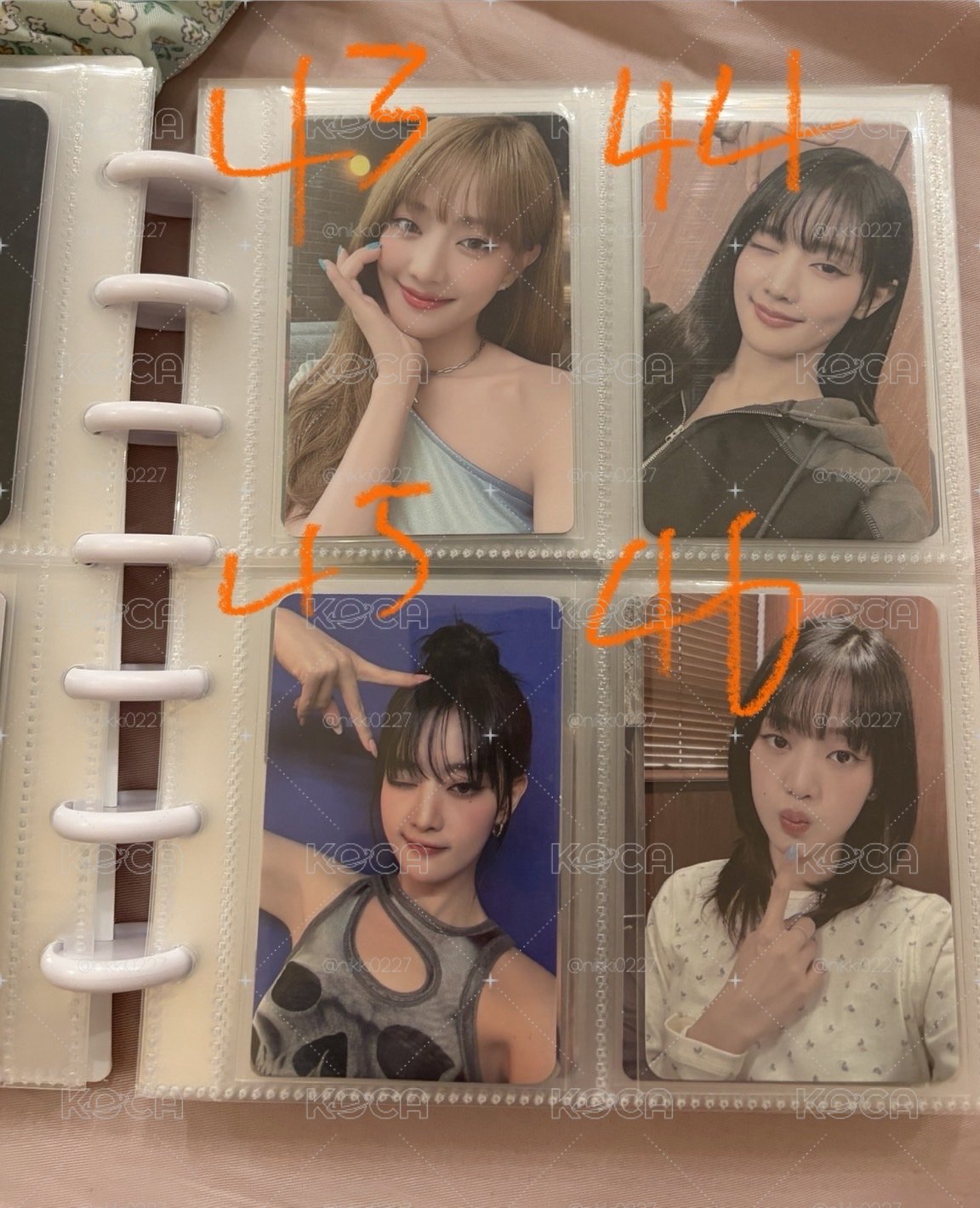 妮盤