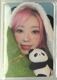 熊貓卡