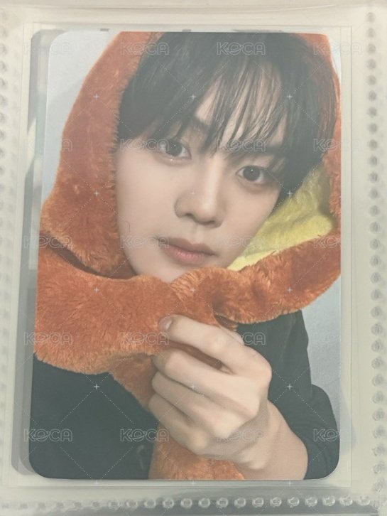 奎23