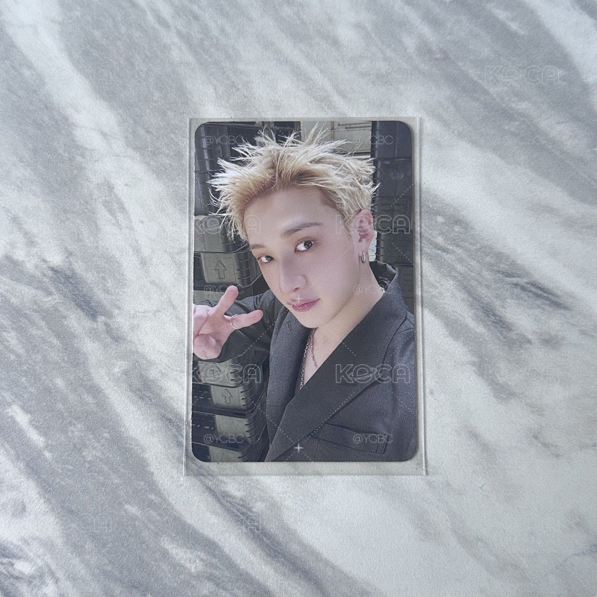 FANS ALBUM ver. 專卡