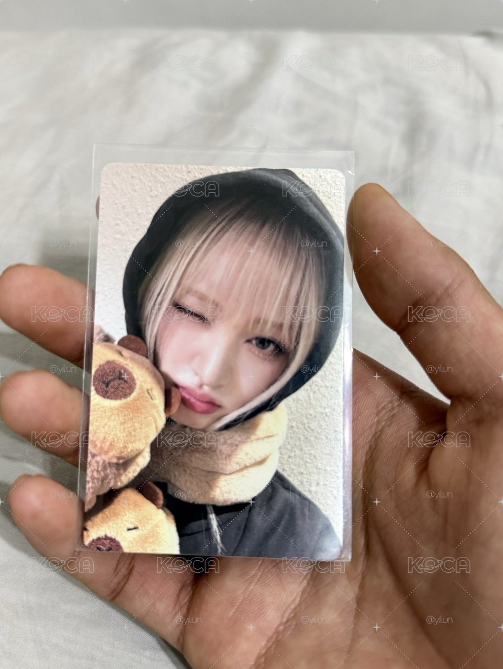 卡皮巴拉栗子