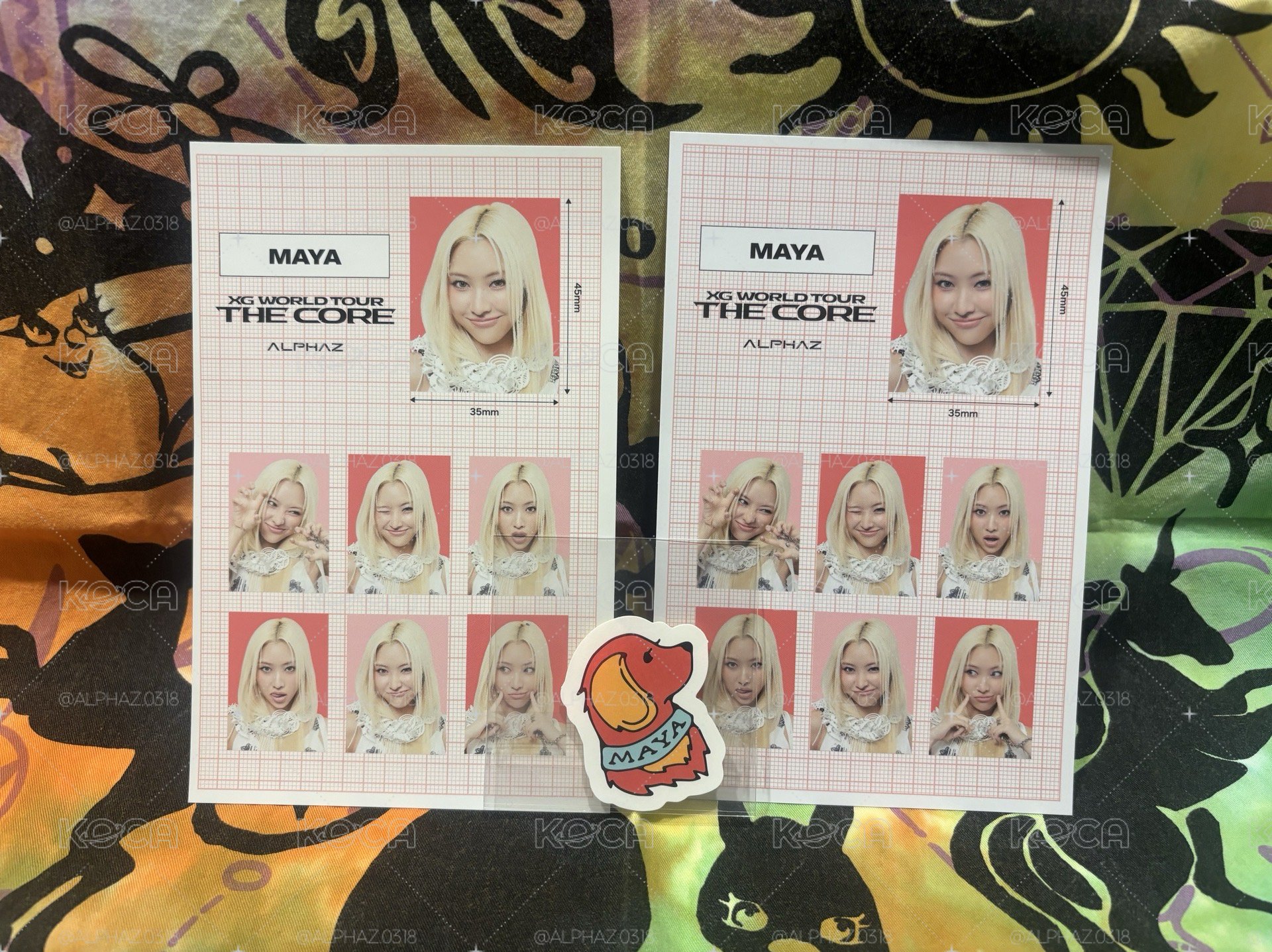 🐶ALPHAZ TREASURE TROVE 07 MAYA證件照set