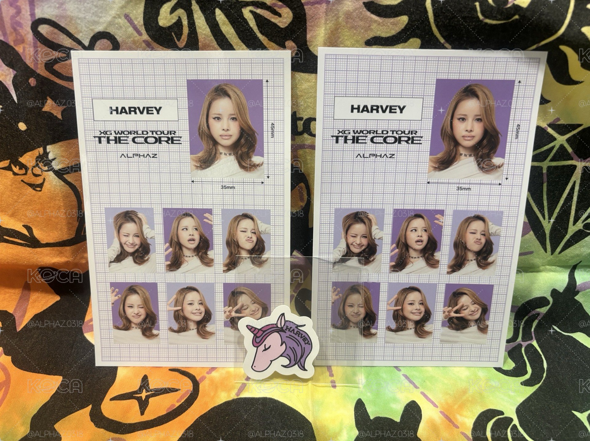 🦄ALPHAZ TREASURE TROVE 07 HARVEY證件照set
