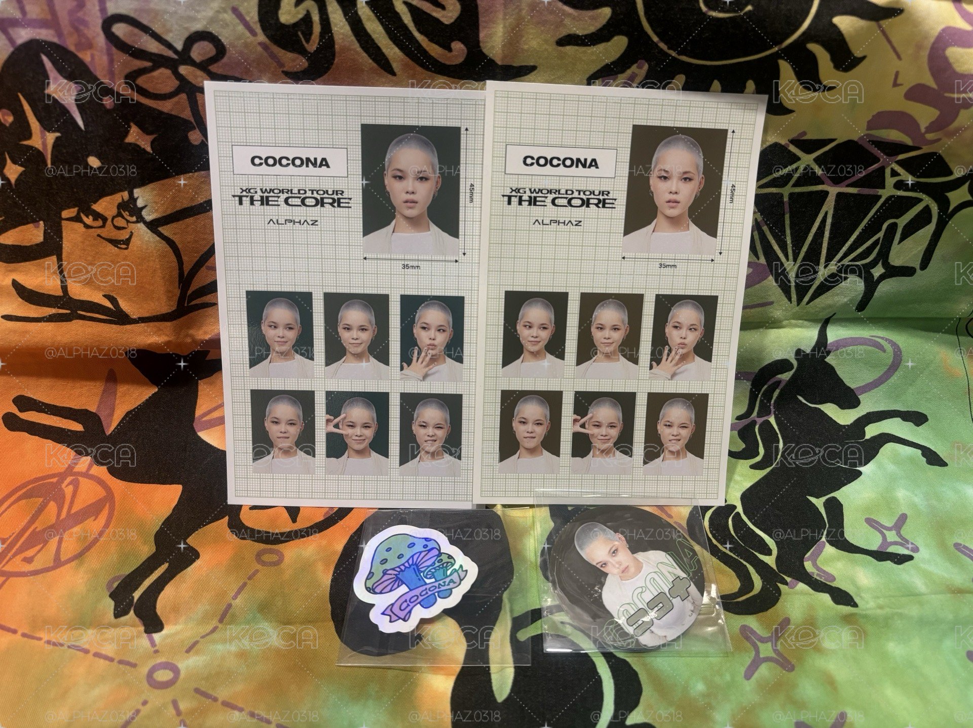 🍄ALPHAZ TREASURE TROVE 07 COCONA證件照&貼紙set
