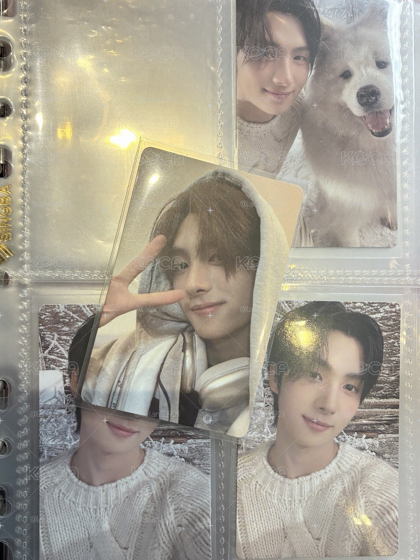 🐶迷一電子專卡