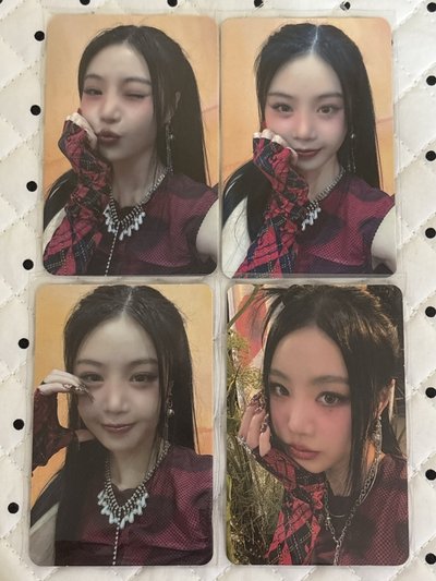 穗珍特典/專卡盤💛
