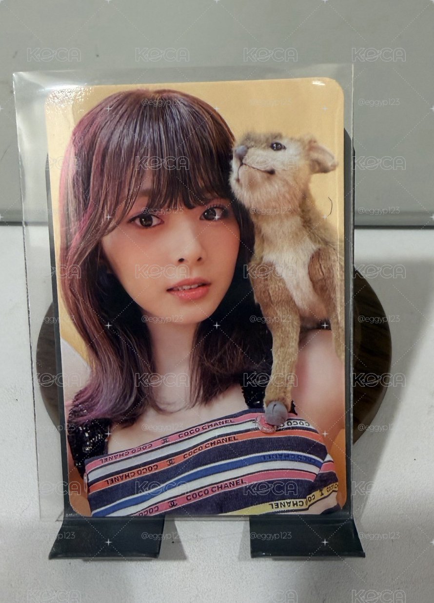 迷11 小鹿娃娃子