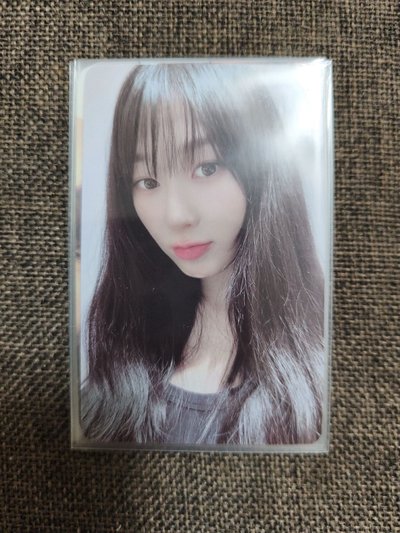 kms 中背吉 我是你們的小博美