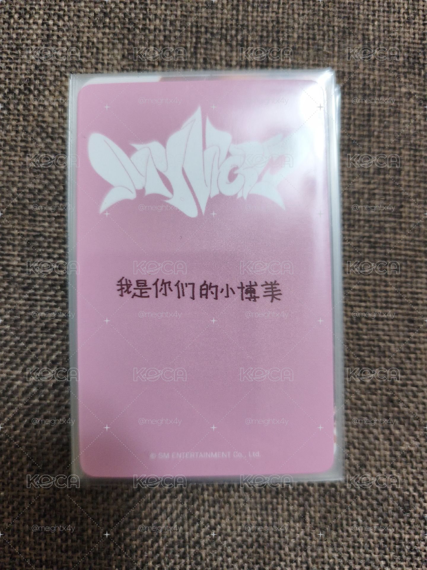 kms 中背吉 我是你們的小博美