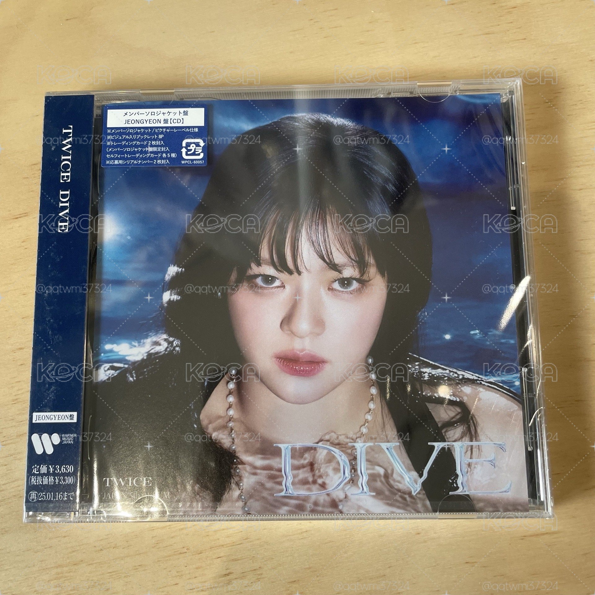 《現貨》全新未拆 DIVE定延個人盤