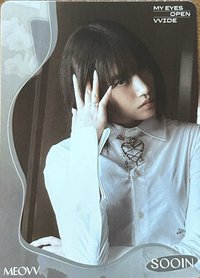 Teleca 收藏卡 