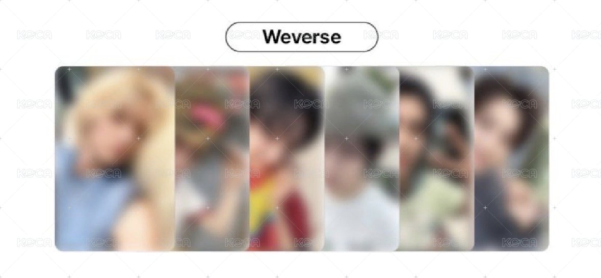 WVS6現貨