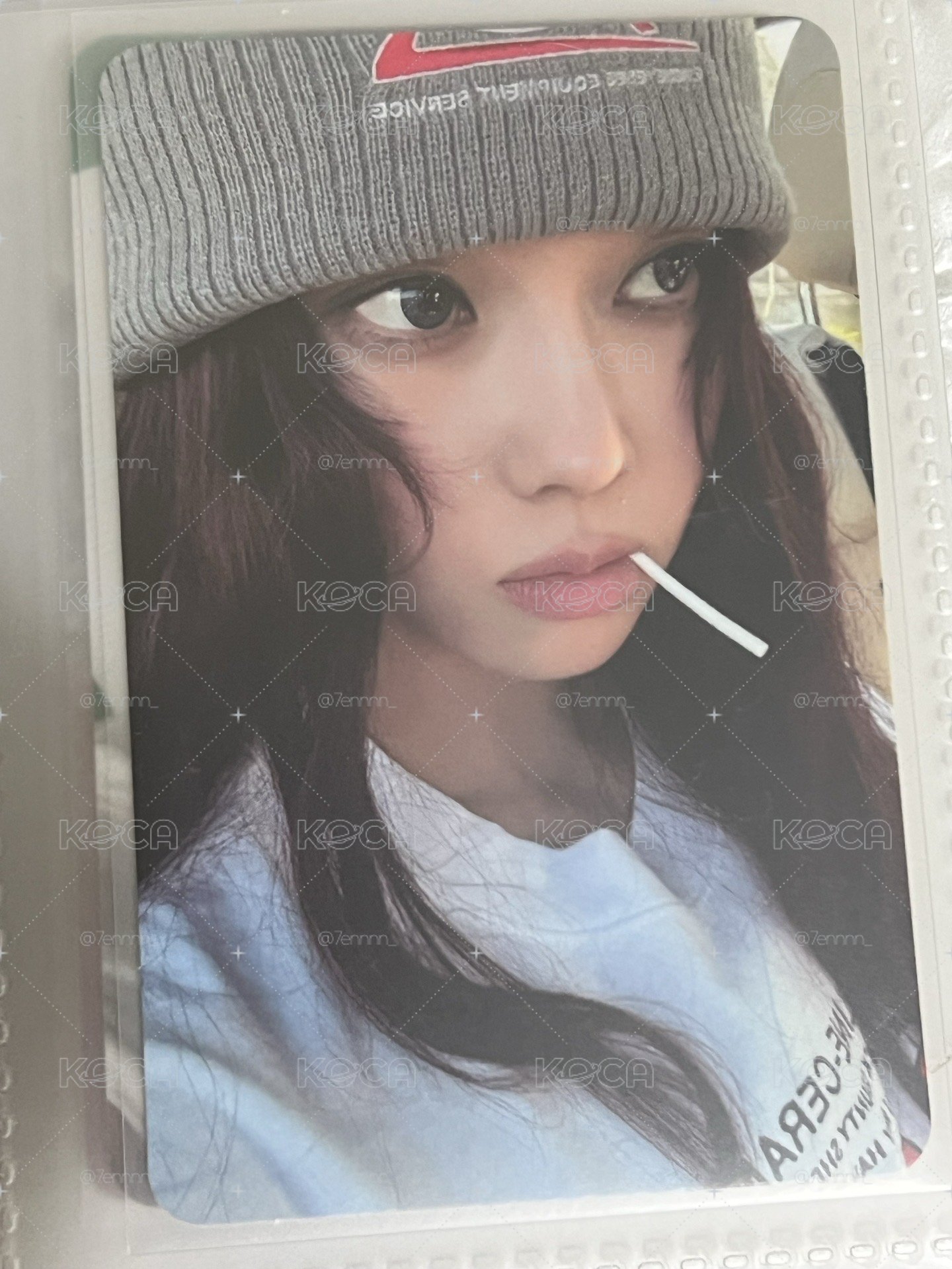毛帽冬