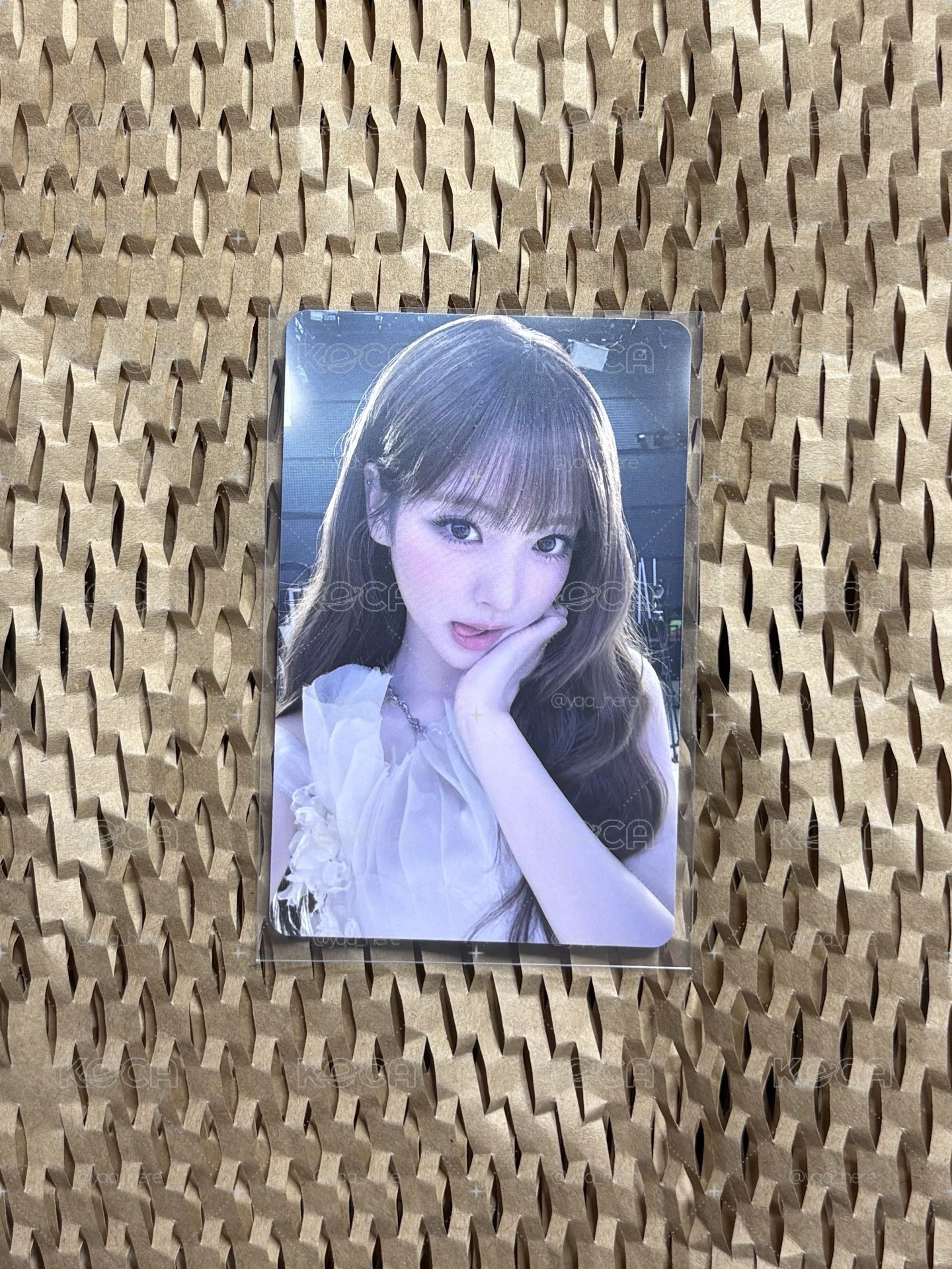 meovv Anna 泡泡摩奇 紫葡萄