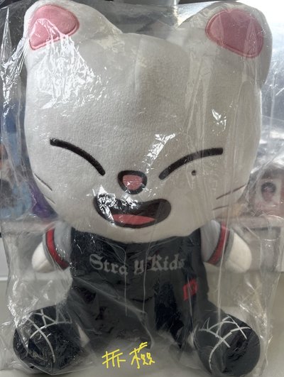 泰迪旻 靜岡辰大娃盤