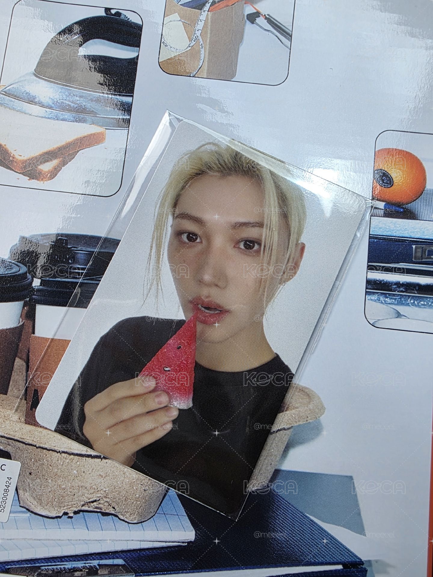 THIS & THAT fans 特典卡  菲